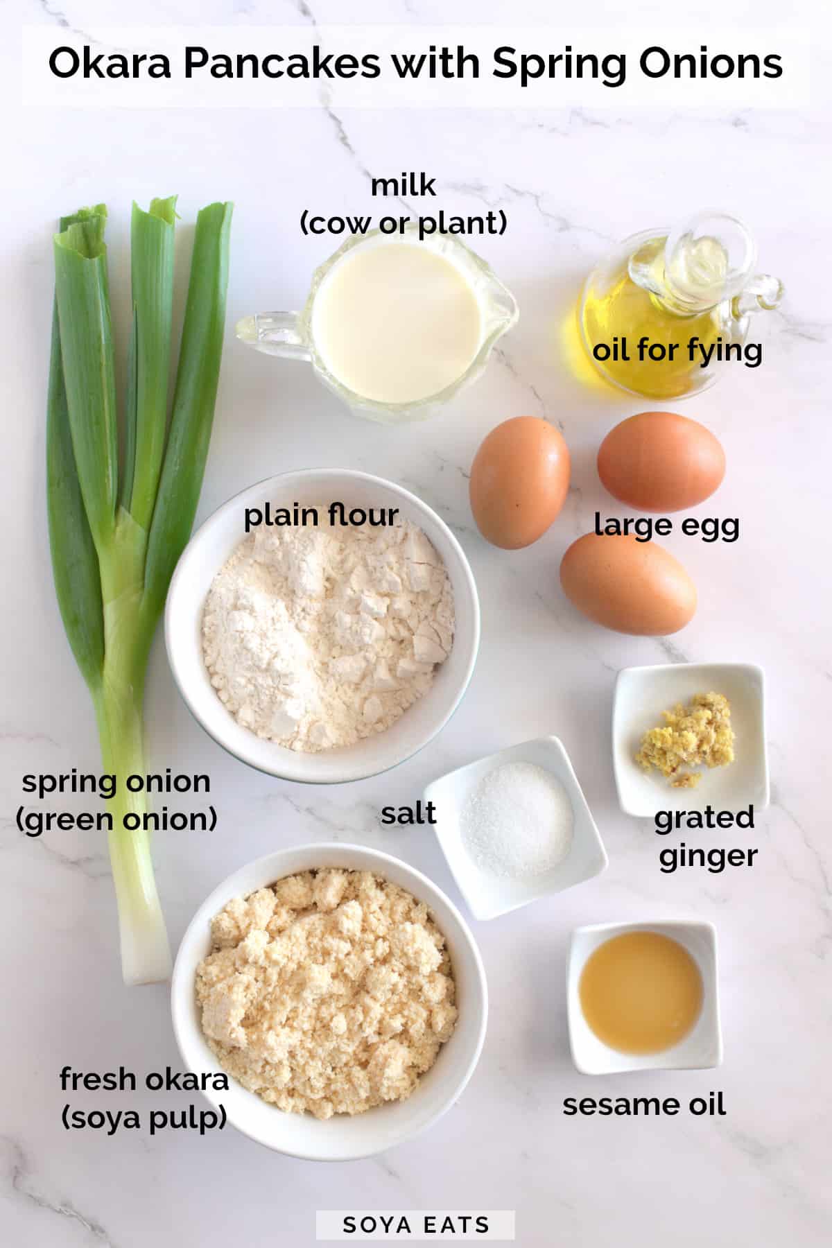 Image showing ingredients needed to make green onion pancakes.