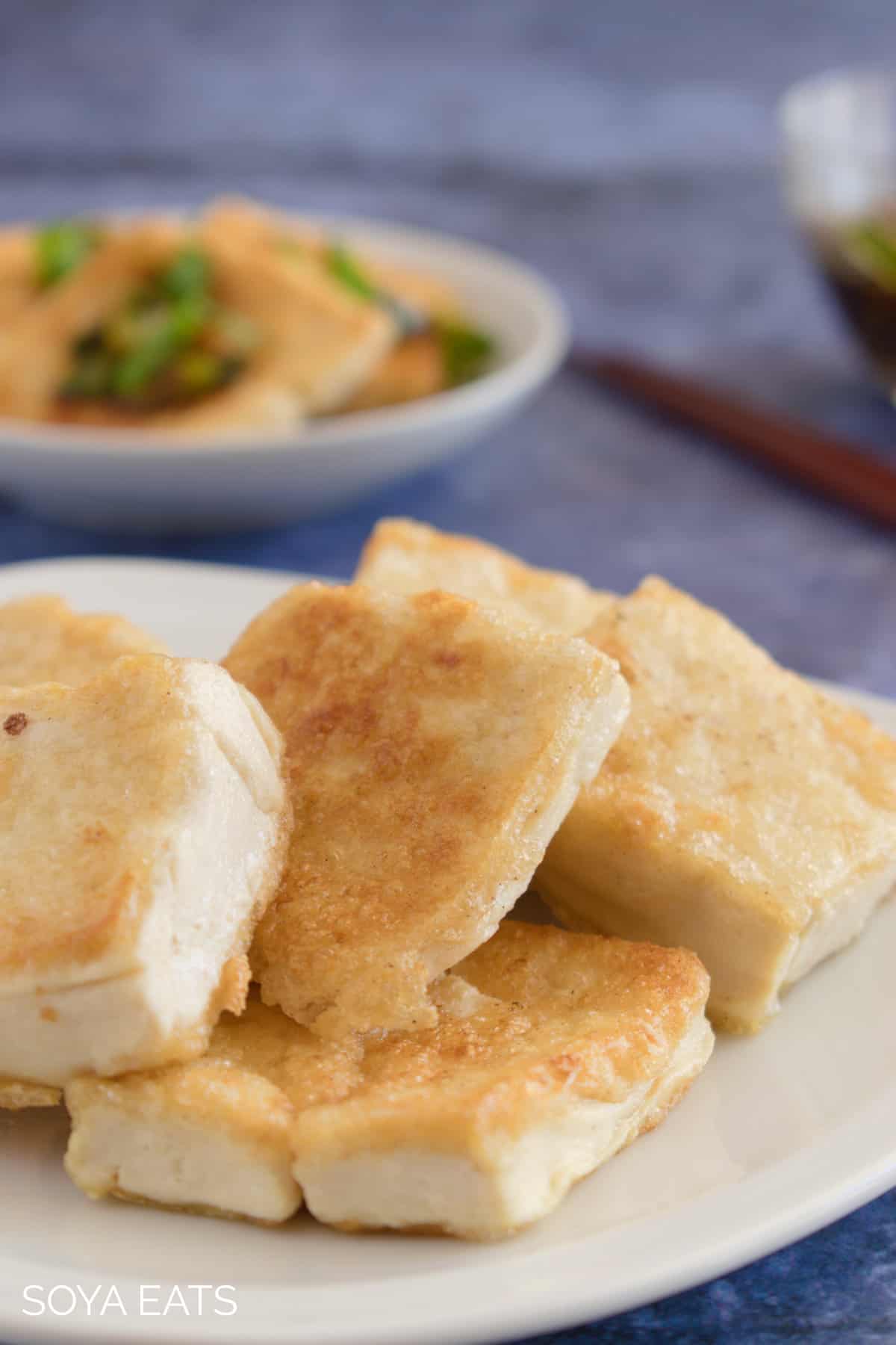 A closeup of fried tofu without sauce.