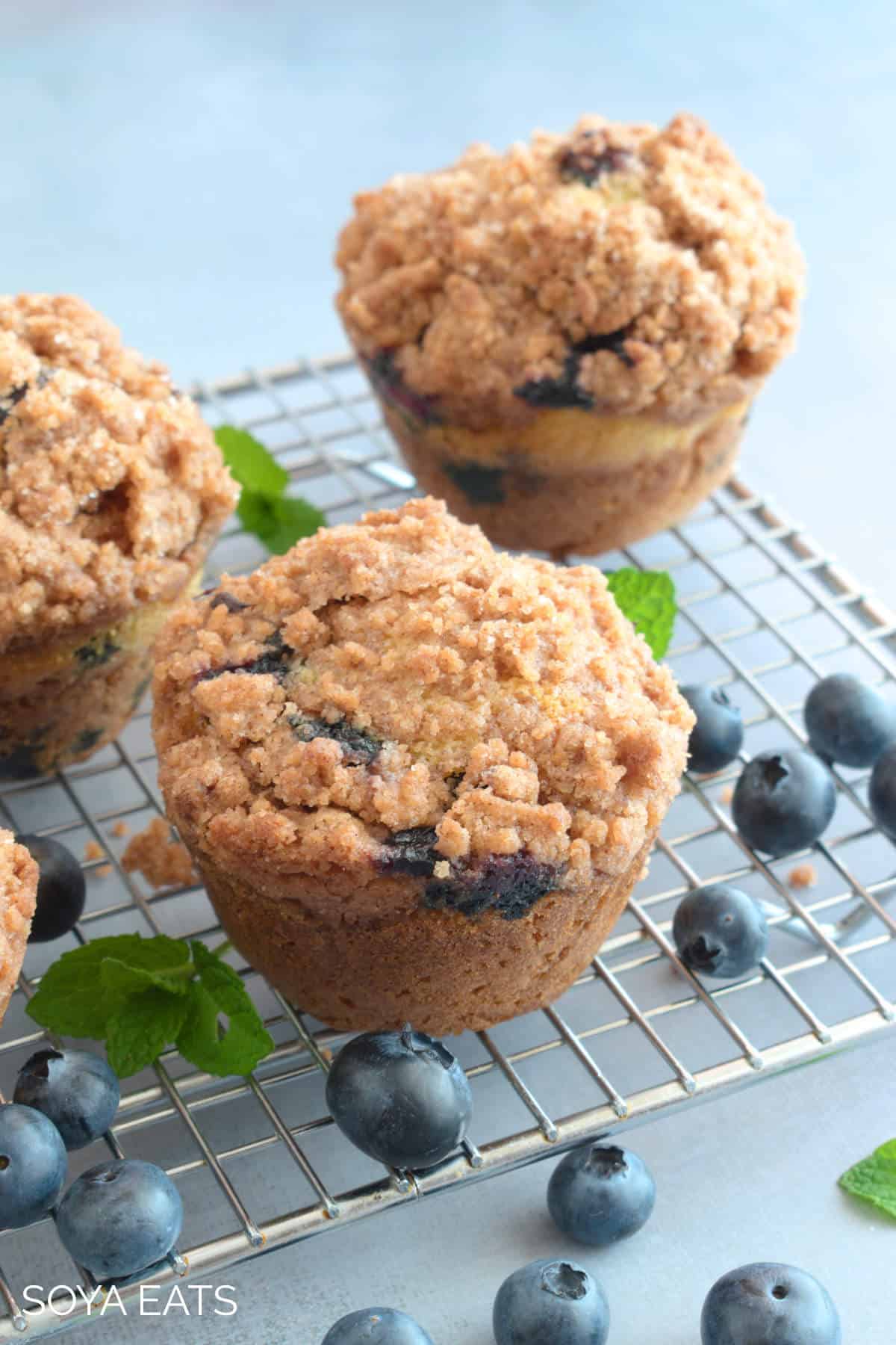 Blueberry okara muffins in a wire rack with fresh blueberries and mint leaves scattered around.